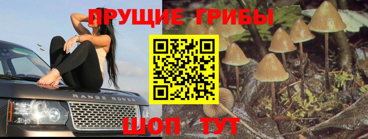 Галлюциногенные грибы Psilocybine cubensis  Вход с VPN  Рязань 